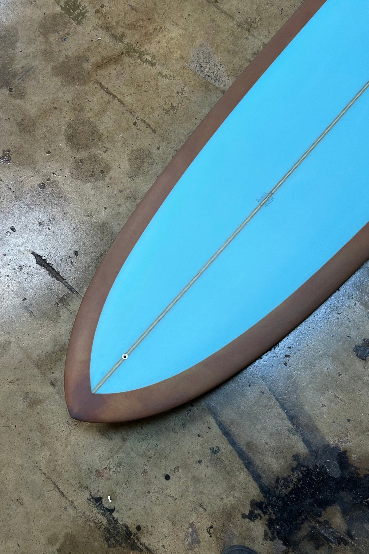 Pintail Log